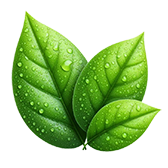 dew-leaves